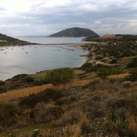 Villa Dendron Agia Marina  Dış mekan fotoğraf