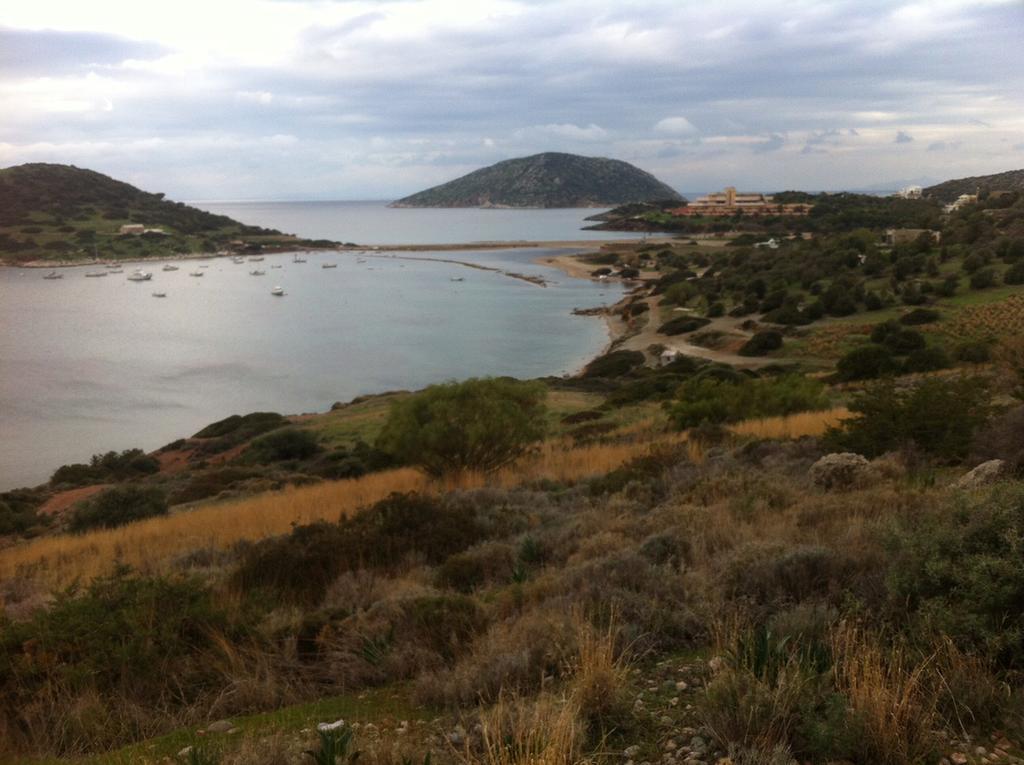 Villa Dendron Agia Marina  Dış mekan fotoğraf